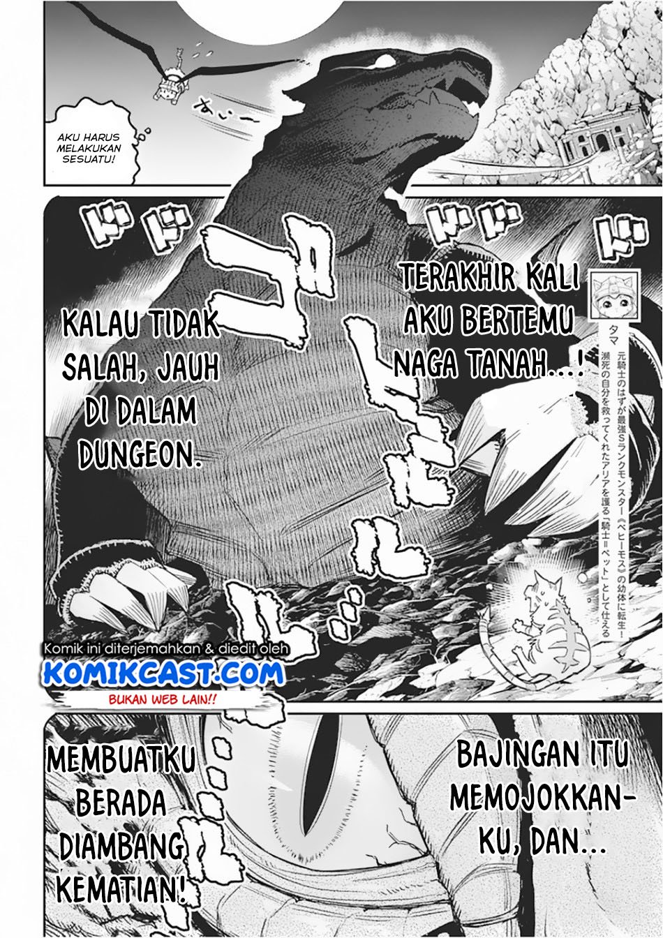 S-Rank Monster No Behemoth Dakedo, Neko To Machigawarete Erufu Musume No Kishi (Pet) Toshite Kurashitemasu Chapter 15 - 119