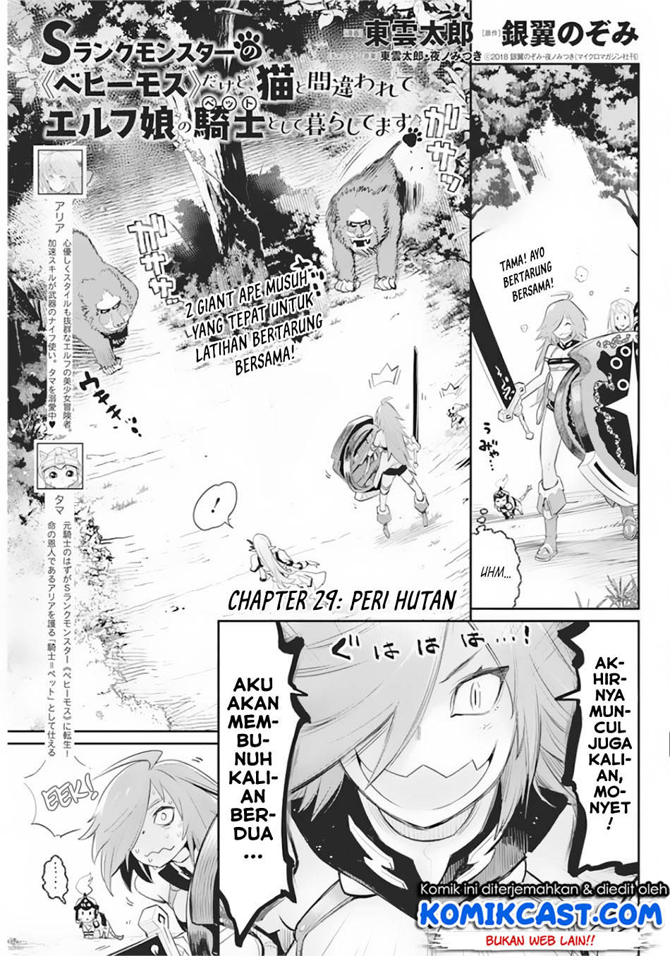 S-Rank Monster No Behemoth Dakedo, Neko To Machigawarete Erufu Musume No Kishi (Pet) Toshite Kurashitemasu Chapter 29 - 153
