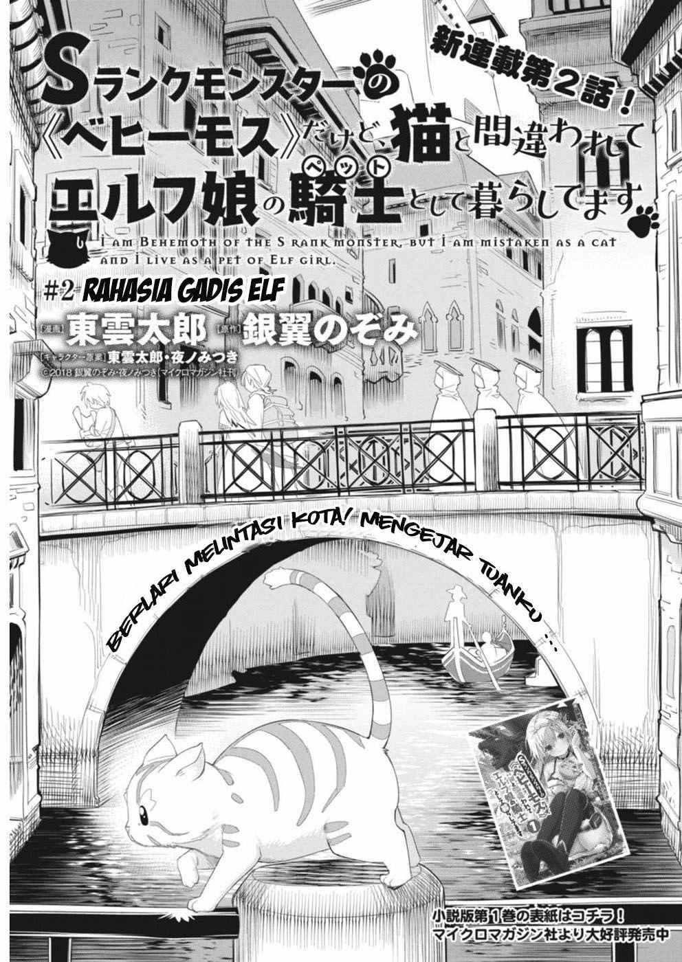 S-Rank Monster No Behemoth Dakedo, Neko To Machigawarete Erufu Musume No Kishi (Pet) Toshite Kurashitemasu Chapter 002 - 145