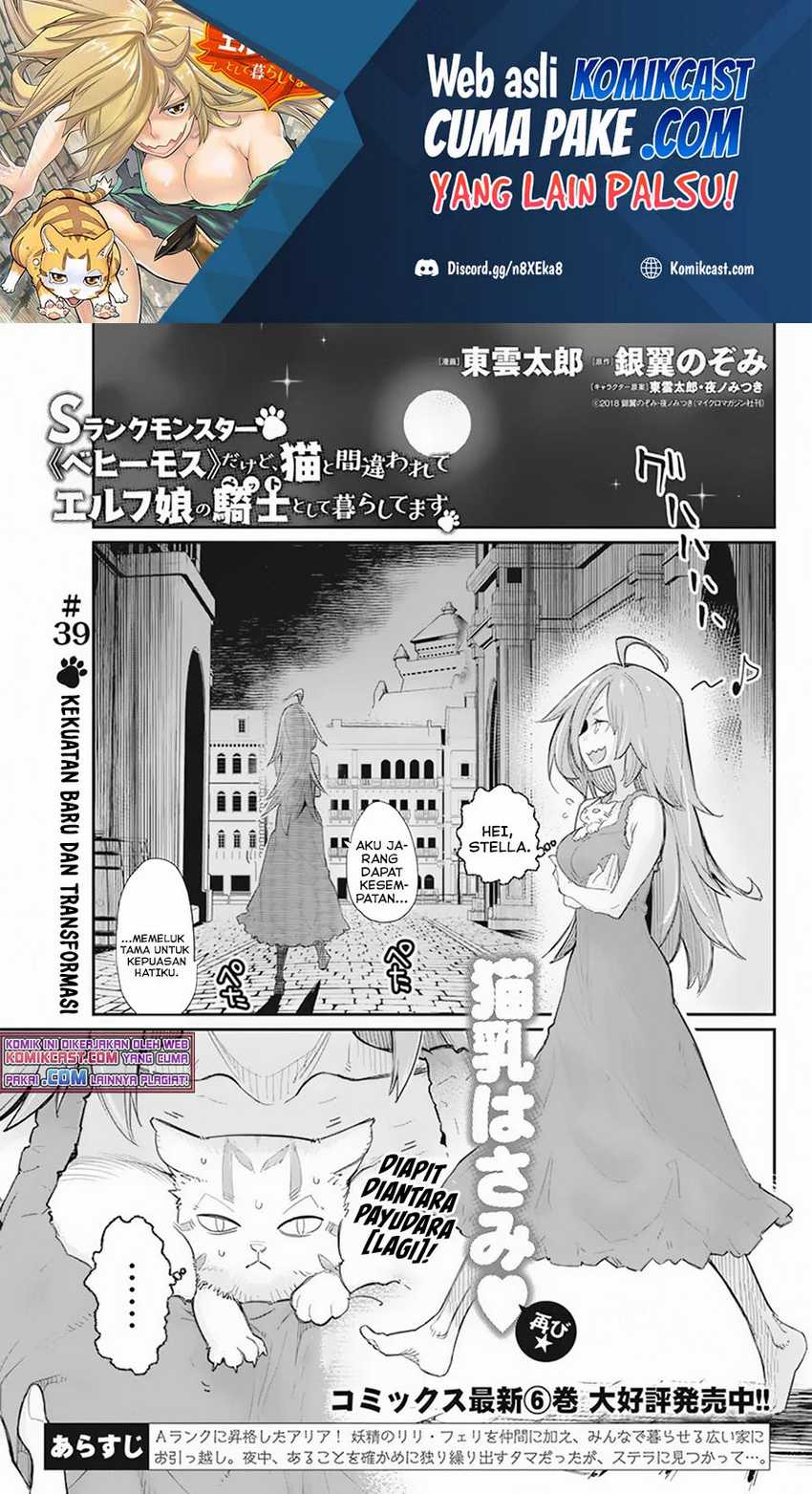 S-Rank Monster No Behemoth Dakedo, Neko To Machigawarete Erufu Musume No Kishi (Pet) Toshite Kurashitemasu Chapter 39 - 165